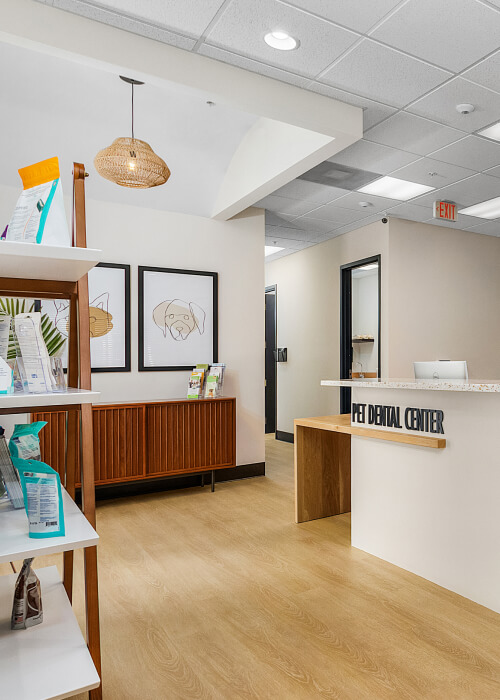Pet Dental Center, Estereo - FL